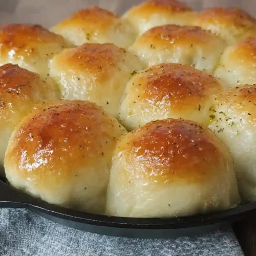 Homemade Soft Dinner Rolls Fresh from Oven