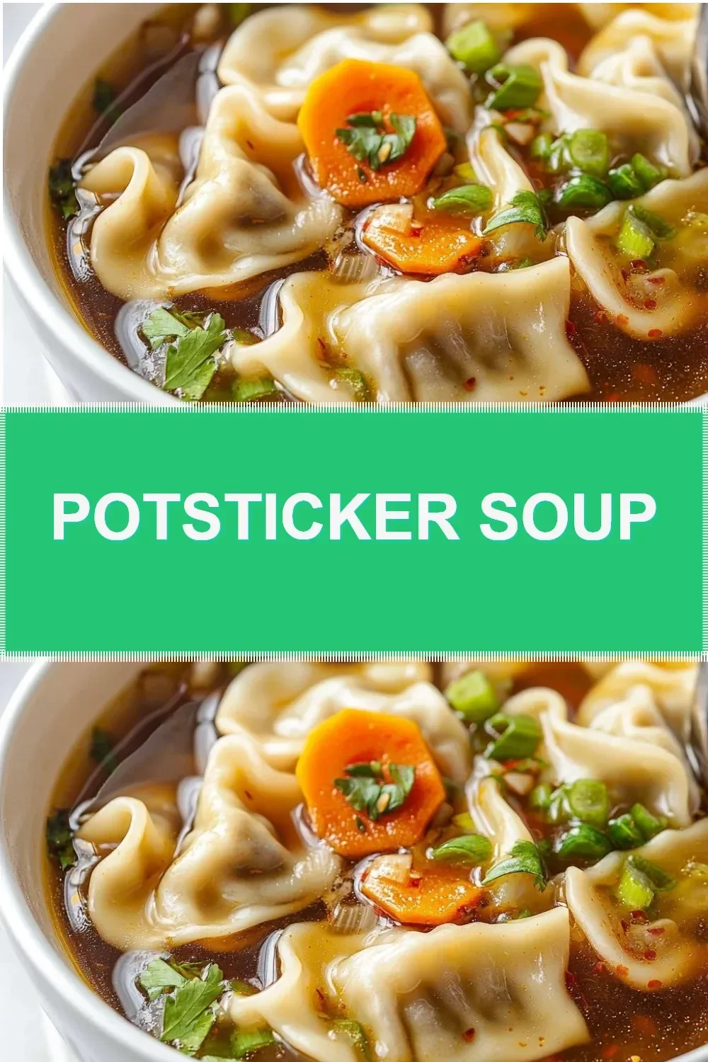 A bowl of steaming Potsticker Soup with dumplings and fresh herbs