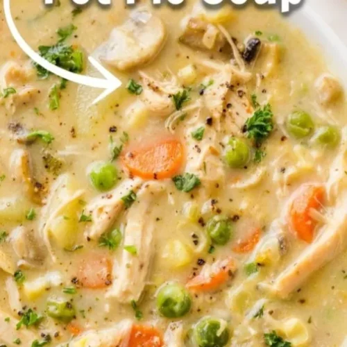 chicken pot pie soup 2026 01 05 231419 504x1024 1